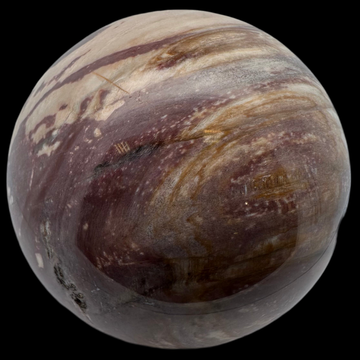 Petrified Wood Sphere 70 mm