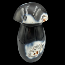 Lejupielādēt attēlu galerijas skatītājā, Ahāts. Sēne