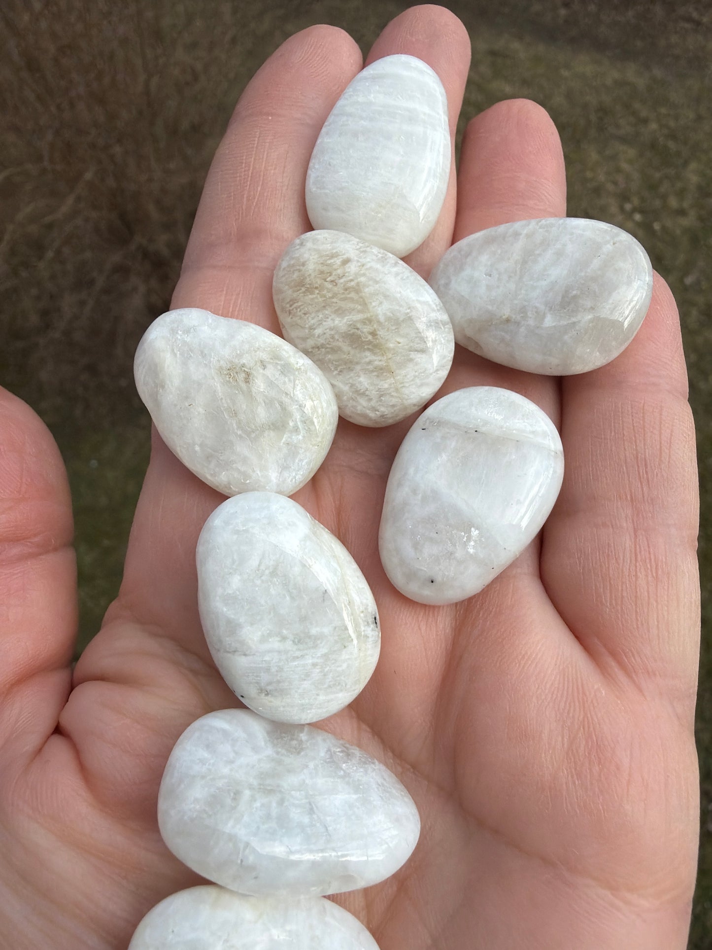 Moonstone (Feldspar) 3 x 1.5 cm