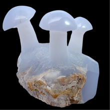 Load image into Gallery viewer, Blue Chalcedony Mushrooms, 416 grams