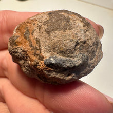 Lejupielādēt attēlu galerijas skatītājā, Uguns opāls 20g 2.5cm