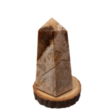 Load image into Gallery viewer, Stella Jasper 90mm 235g