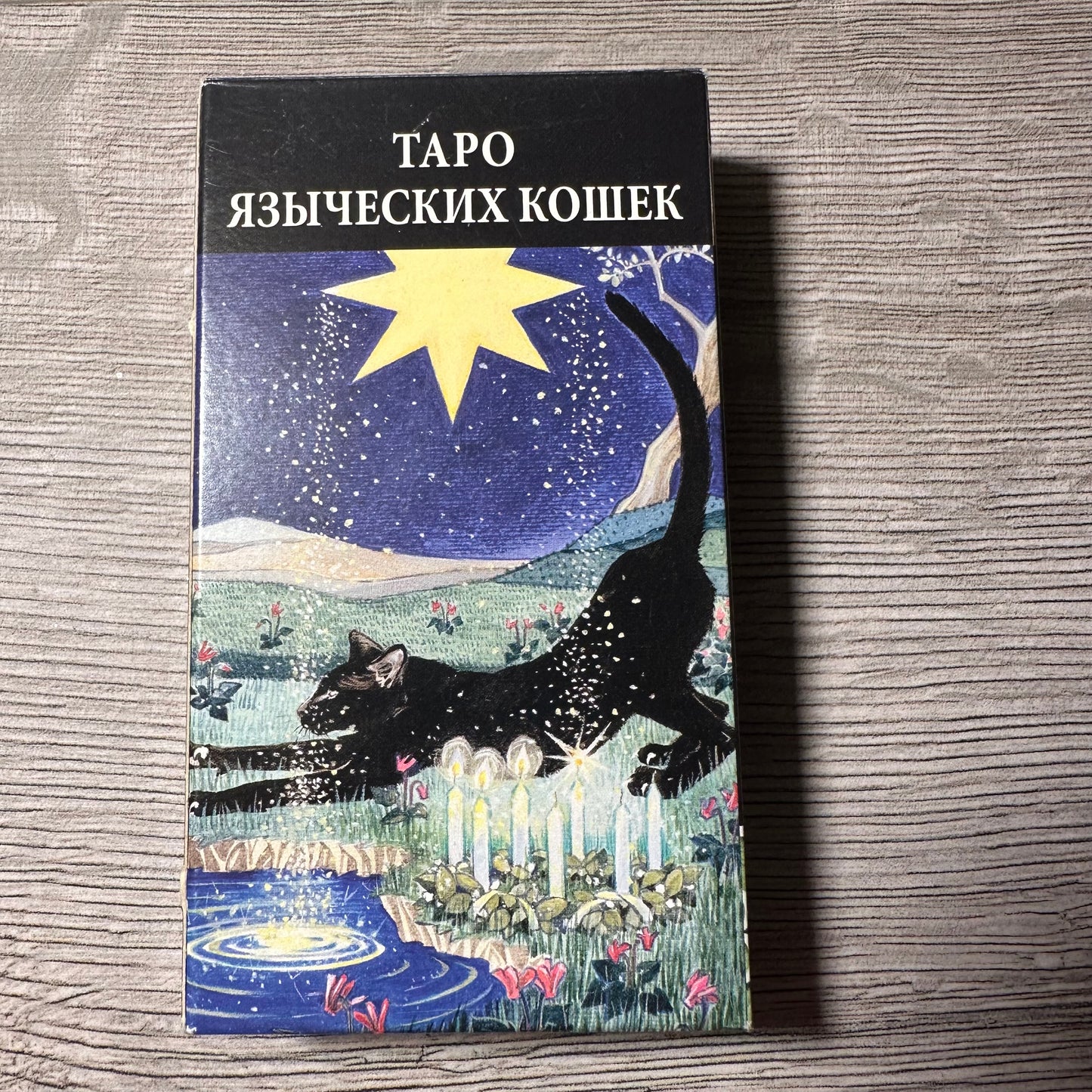 Back of Pagan Cats Tarot Tarot Encyclopedia Avalon/Hachette deck
