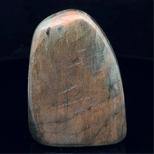 Загрузить изображение в средство просмотра галереи, Лабрадор, 50 мм, 70 грамм