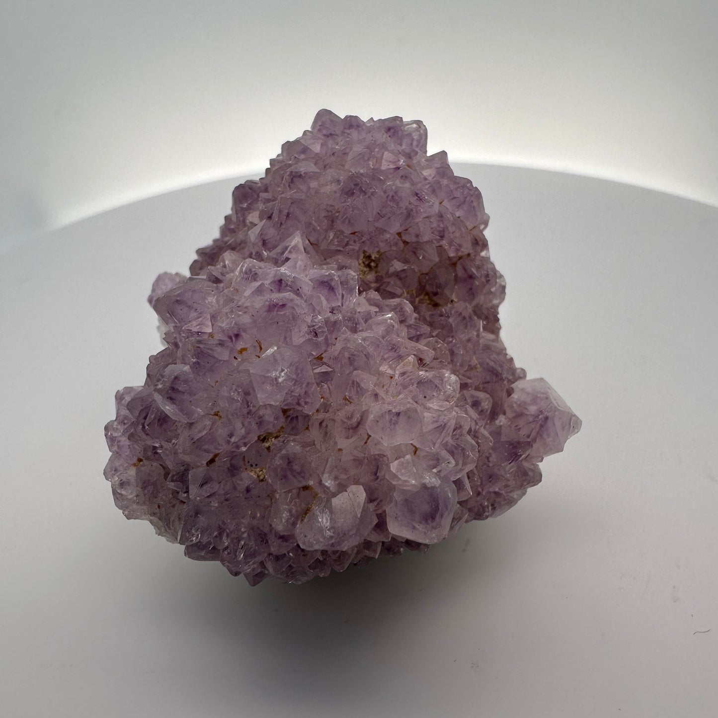 Amethyst Cactus – 160 g, 7 cm