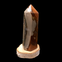 Load image into Gallery viewer, Jasper 545g, 14.5cm