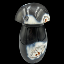 Lejupielādēt attēlu galerijas skatītājā, Ahāts. Sēne