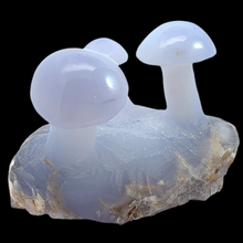 Load image into Gallery viewer, Blue Chalcedony Mushrooms, 416 grams
