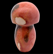Load image into Gallery viewer, Mushroom from Jasper, 7 cm, 108 grams