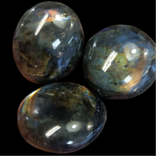 Load image into Gallery viewer, Labrador 105gr