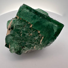 Lejupielādēt attēlu galerijas skatītājā, Fluorīts 9 cm x 7,5 cm