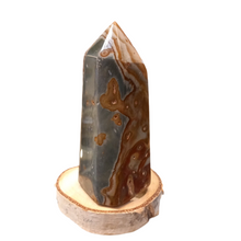 Load image into Gallery viewer, Jasper 455g, 12.5cm