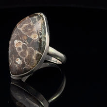 Lejupielādēt attēlu galerijas skatītājā, Gredzens ahāts Bruņurupucis, 19. izmērs; sudrabs 925