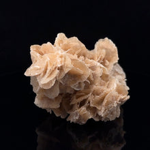 Lejupielādēt attēlu galerijas skatītājā, Tuksneša roze, ģipsis 9 cm x 4 cm 123 grami