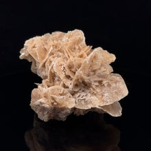 Lejupielādēt attēlu galerijas skatītājā, Tuksneša roze, ģipsis 9 cm x 4 cm 123 grami