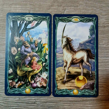 Lejupielādēt attēlu galerijas skatītājā, Episkā Taro