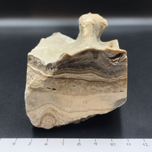 Lejupielādēt attēlu galerijas skatītājā, Kalcīta Kristāls (Onikss) 500g, 9x7x7cm