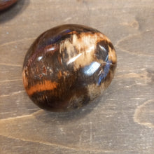 Загрузить изображение в средство просмотра галереи, Окаменелое дерево 130гр 5см