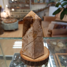 Load image into Gallery viewer, Stella Jasper 90mm 235g