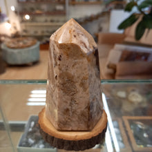 Load image into Gallery viewer, Stella Jasper 90mm 235g