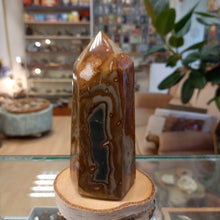 Load image into Gallery viewer, Jasper 455g, 12.5cm