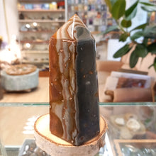 Load image into Gallery viewer, Jasper 455g, 12.5cm