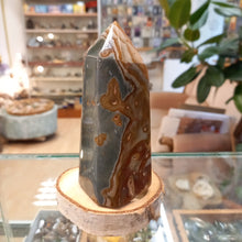 Load image into Gallery viewer, Jasper 455g, 12.5cm