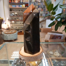 Load image into Gallery viewer, Jasper 545g, 14.5cm