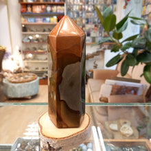 Load image into Gallery viewer, Jasper 545g, 14.5cm