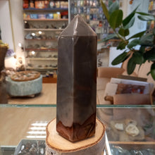 Load image into Gallery viewer, Jasper 475g, 14cm