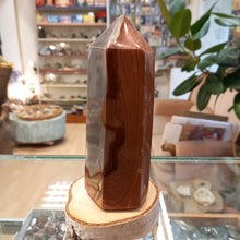 Load image into Gallery viewer, Jasper 475g, 14cm