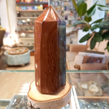 Load image into Gallery viewer, Jasper 475g, 14cm