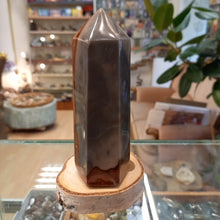 Load image into Gallery viewer, Jasper 475g, 14cm