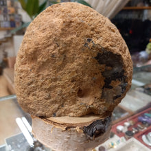 Load image into Gallery viewer, Geode Agate 935g, 10.5cm