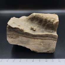 Lejupielādēt attēlu galerijas skatītājā, Kalcīta Kristāls (Onikss) 500g, 9x7x7cm