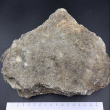 Load image into Gallery viewer, Crystal Selenite 1500g, 18x15x4cm