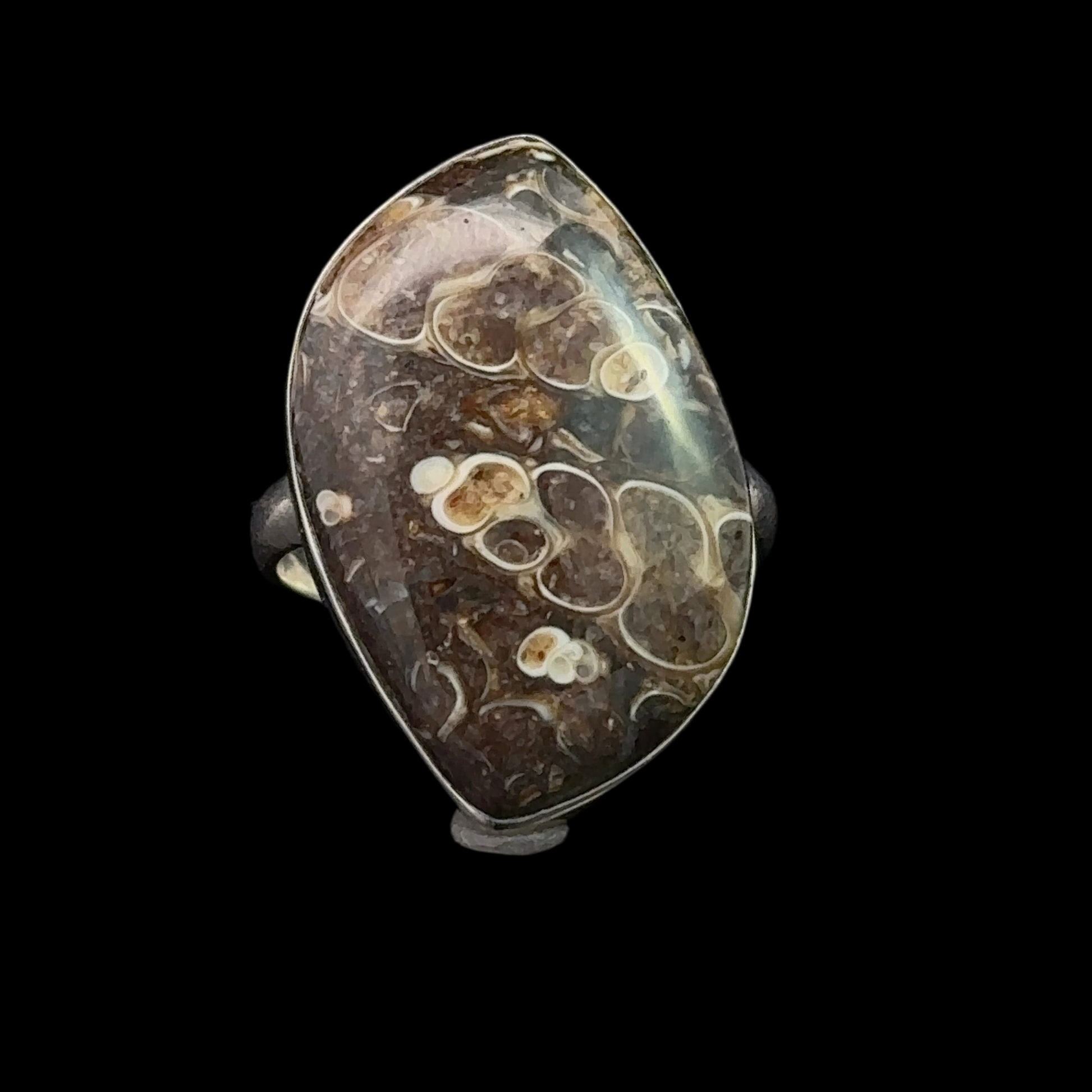 Turtle Agate Ring Silver 925 Size 19