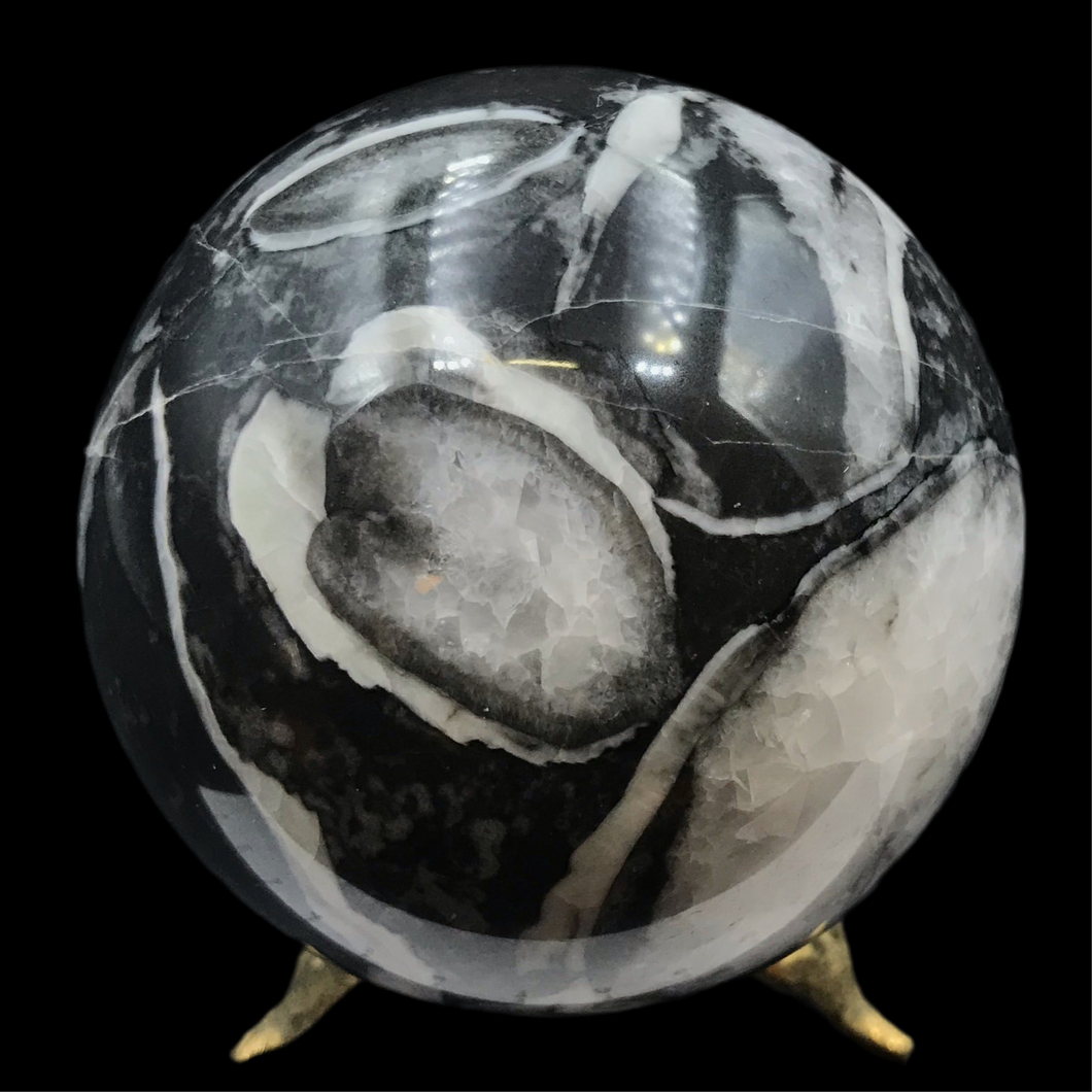 Ball Fossilized shell 70 mm 570 grams