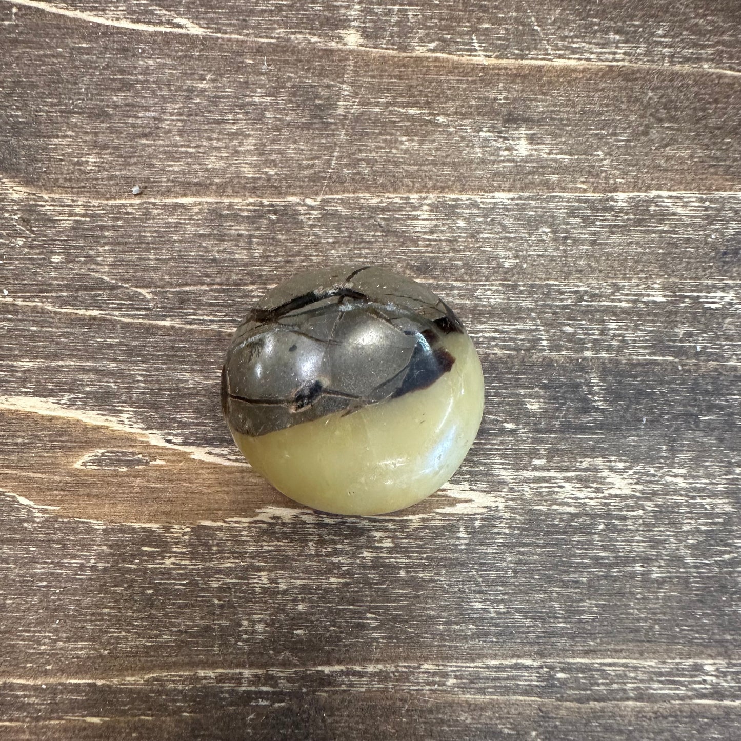 Septarian Calcite Processed Mineral 27-32 g 3 cm Stone
