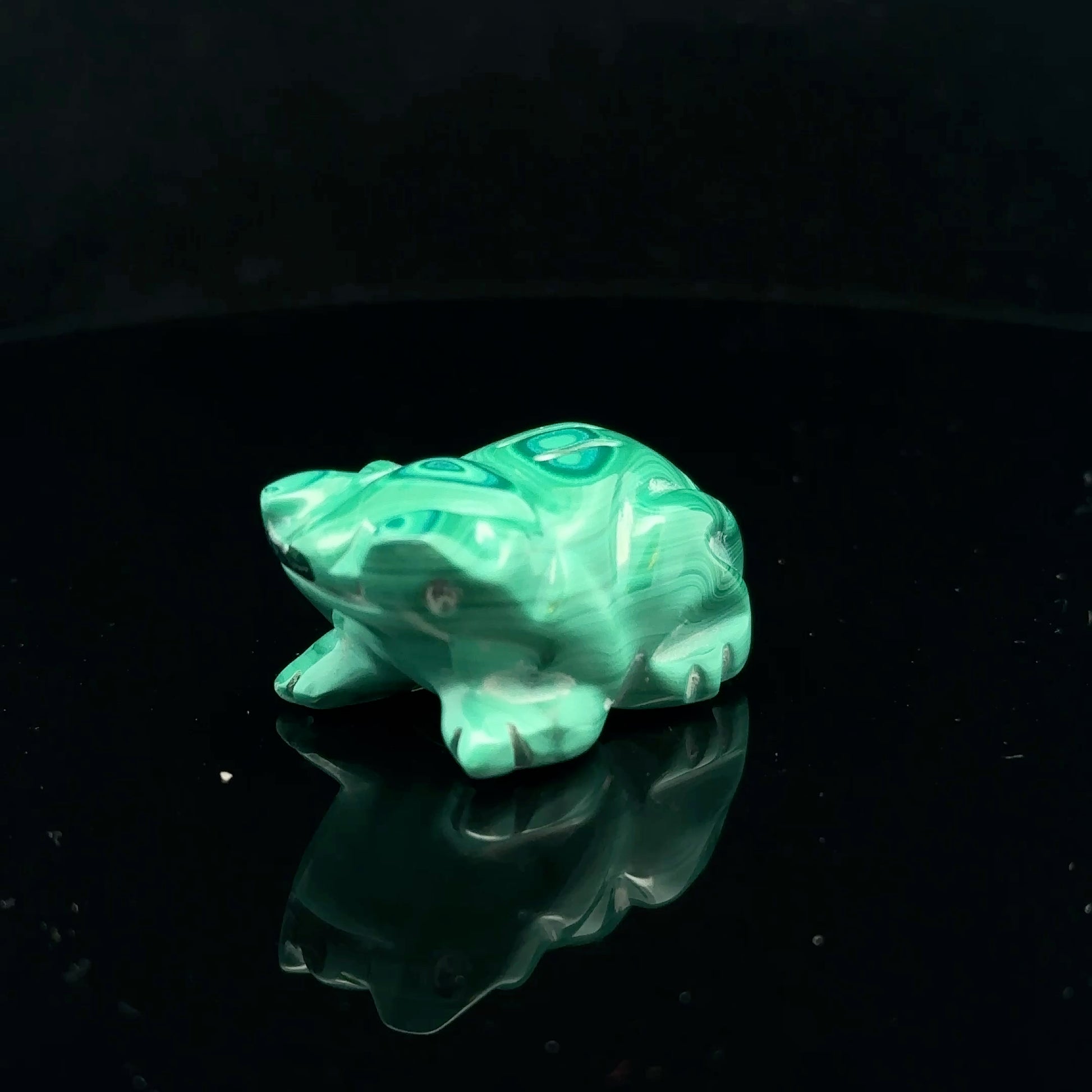 Toad Malachite 24 g, 2 by 3 cm