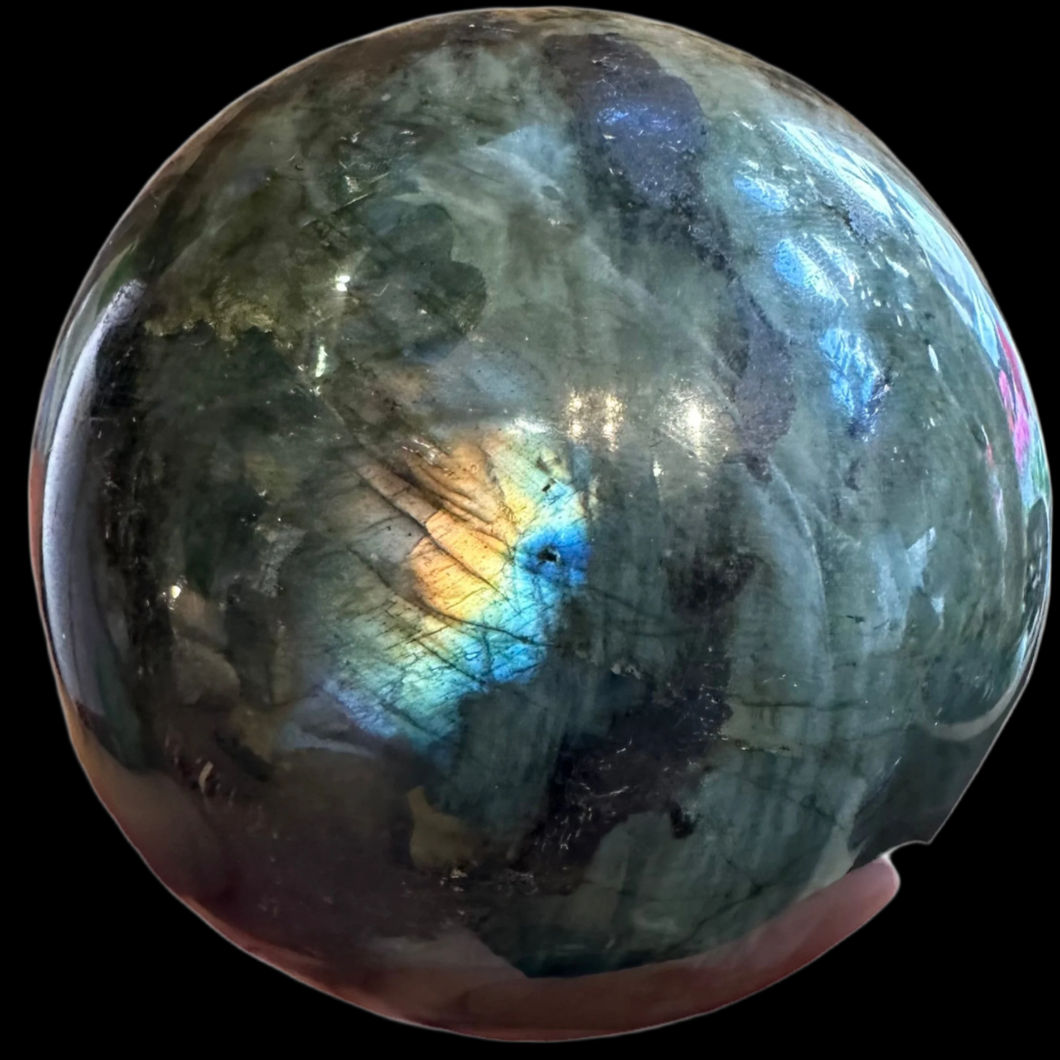 Ball Labrador Madagascar, 70 mm