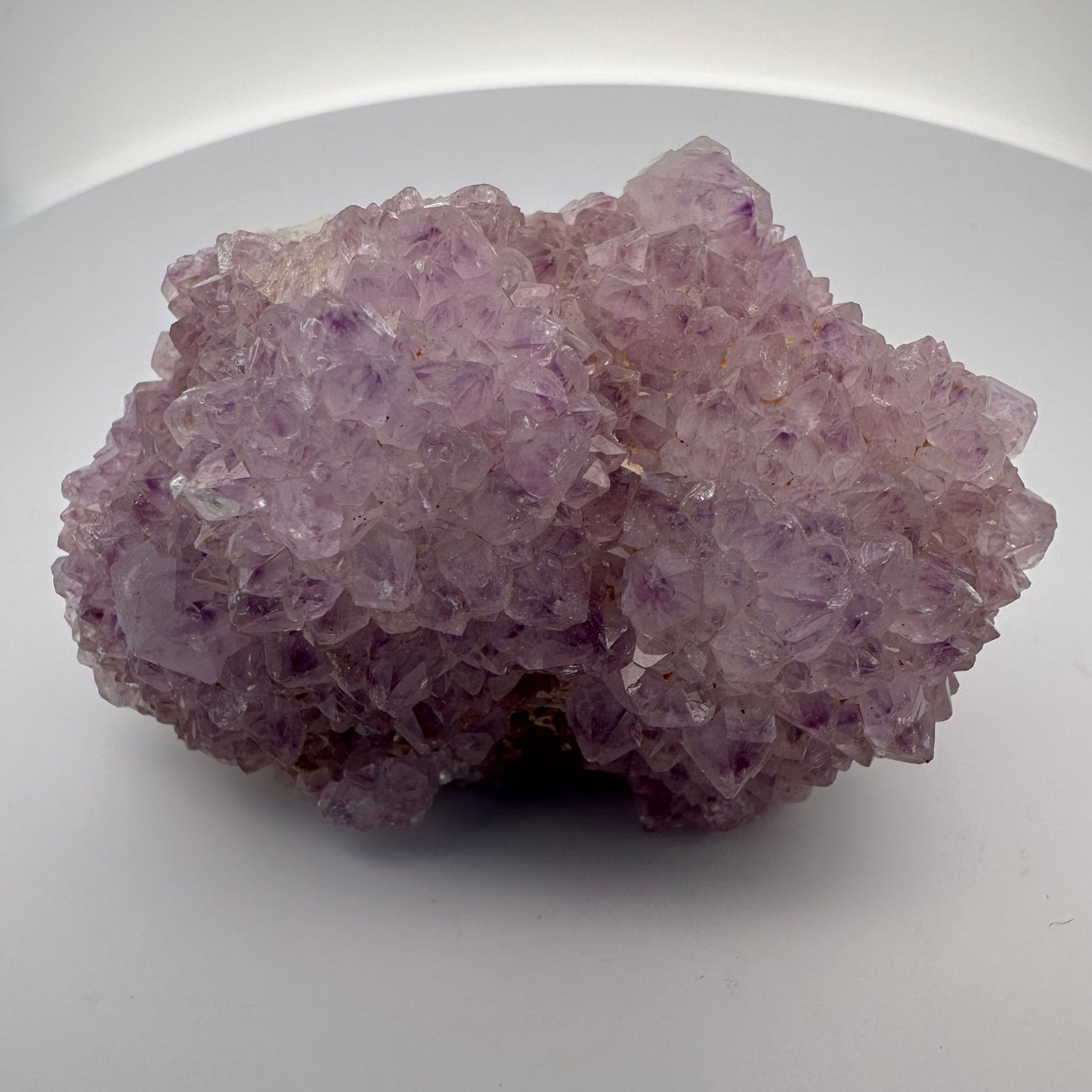 Amethyst Cactus – 160 g, 7 cm
