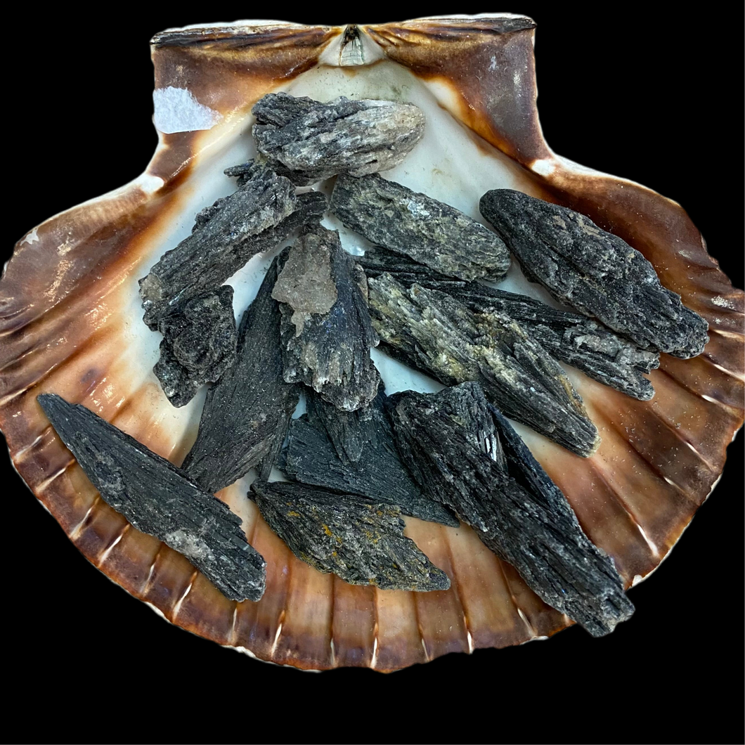 Kristāli Melnais cianīts, 5 cm, 12-20 g