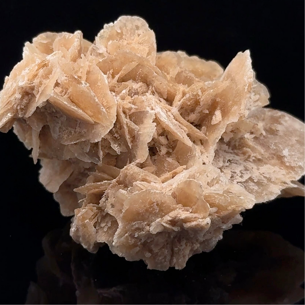 Desert Rose, plaster 9 cm x 4 cm 123 grams