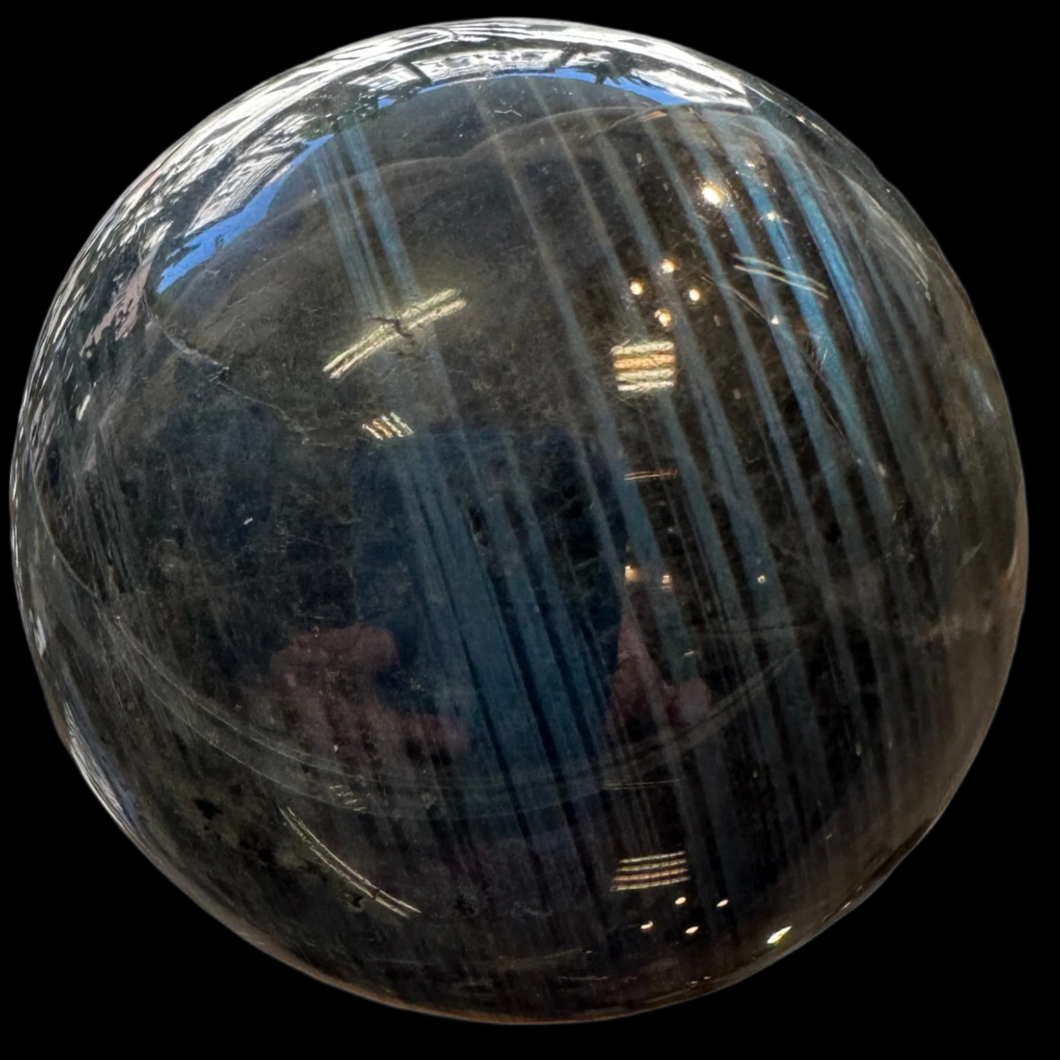 Ball Labrador Madagascar, 60 mm