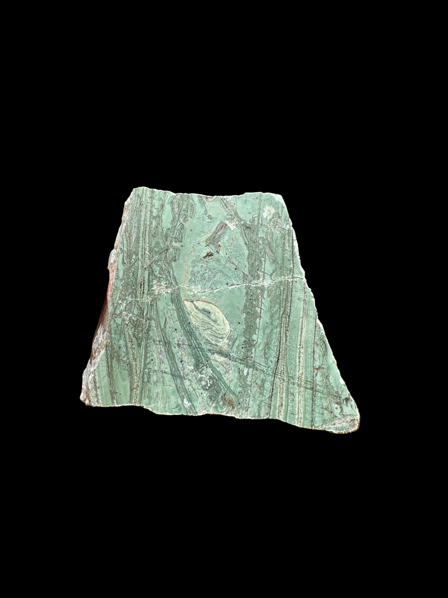 Tinguaite 316 g 9 × 8 × 2.5 cm