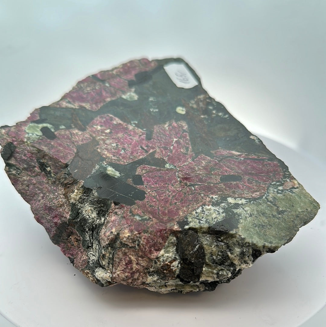 Eudialyte Aegirine Astrophyllite Apatite 14 × 11 × 3 cm
