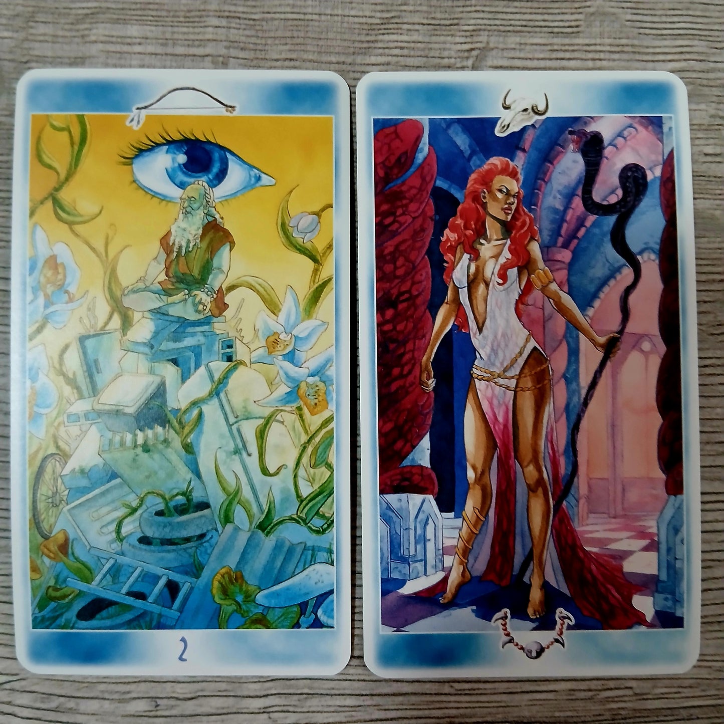 Shaman Tarot Tarot Encyclopedia Avalon/Hachette cards
