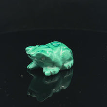 Load and play video in Gallery viewer, Toad Malachite 24 g, 2 by 3 cm
