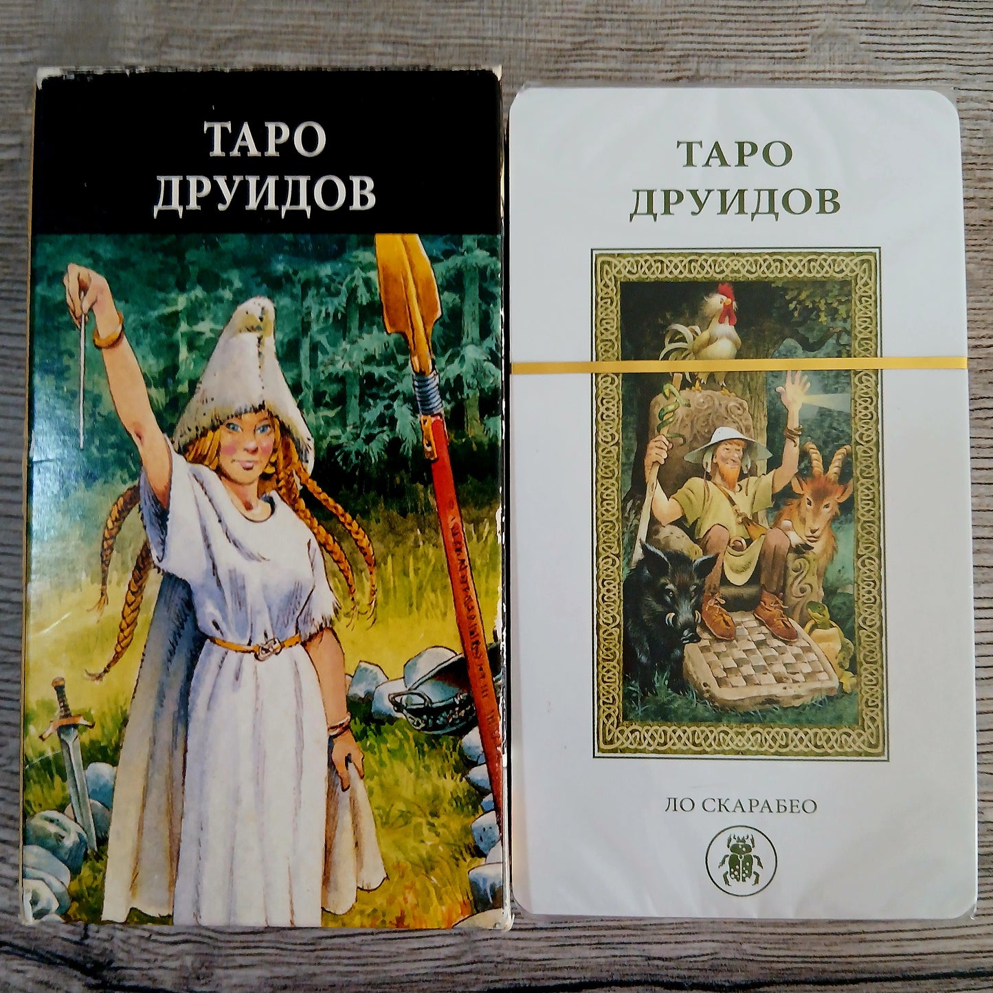 Tarot of the Druids Tarot Encyclopedia Avalon/Hachette cards